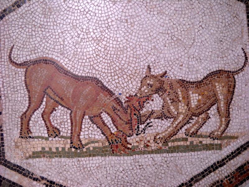 BARDO 00 (23).jpg